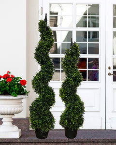Potted Trees