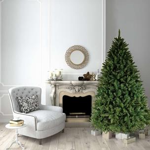 Green Christmas Trees