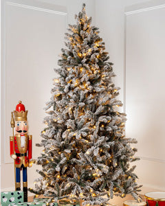 Frosted Christmas Trees