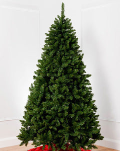 Christmas Trees by Size