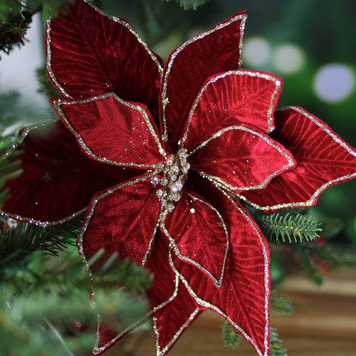 Christmas Picks And Flowers