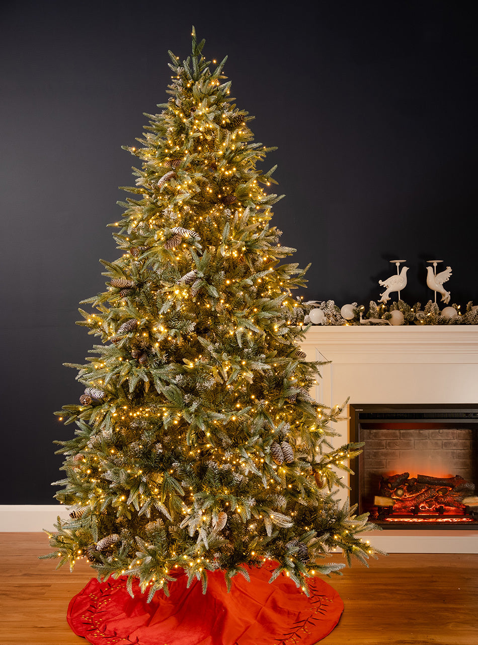 Astounding Christmas Tree 10 Ft Pictures