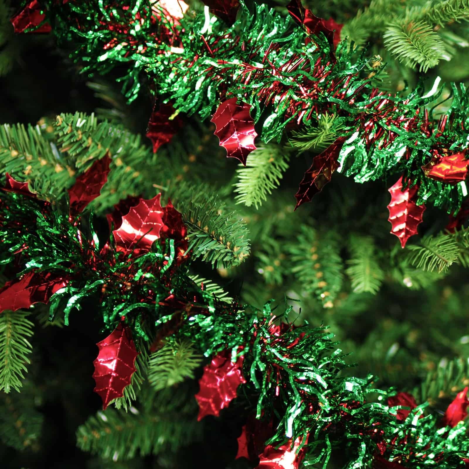 25m HOLLY Red Leaf with Green Red Tinsel 100mm wide