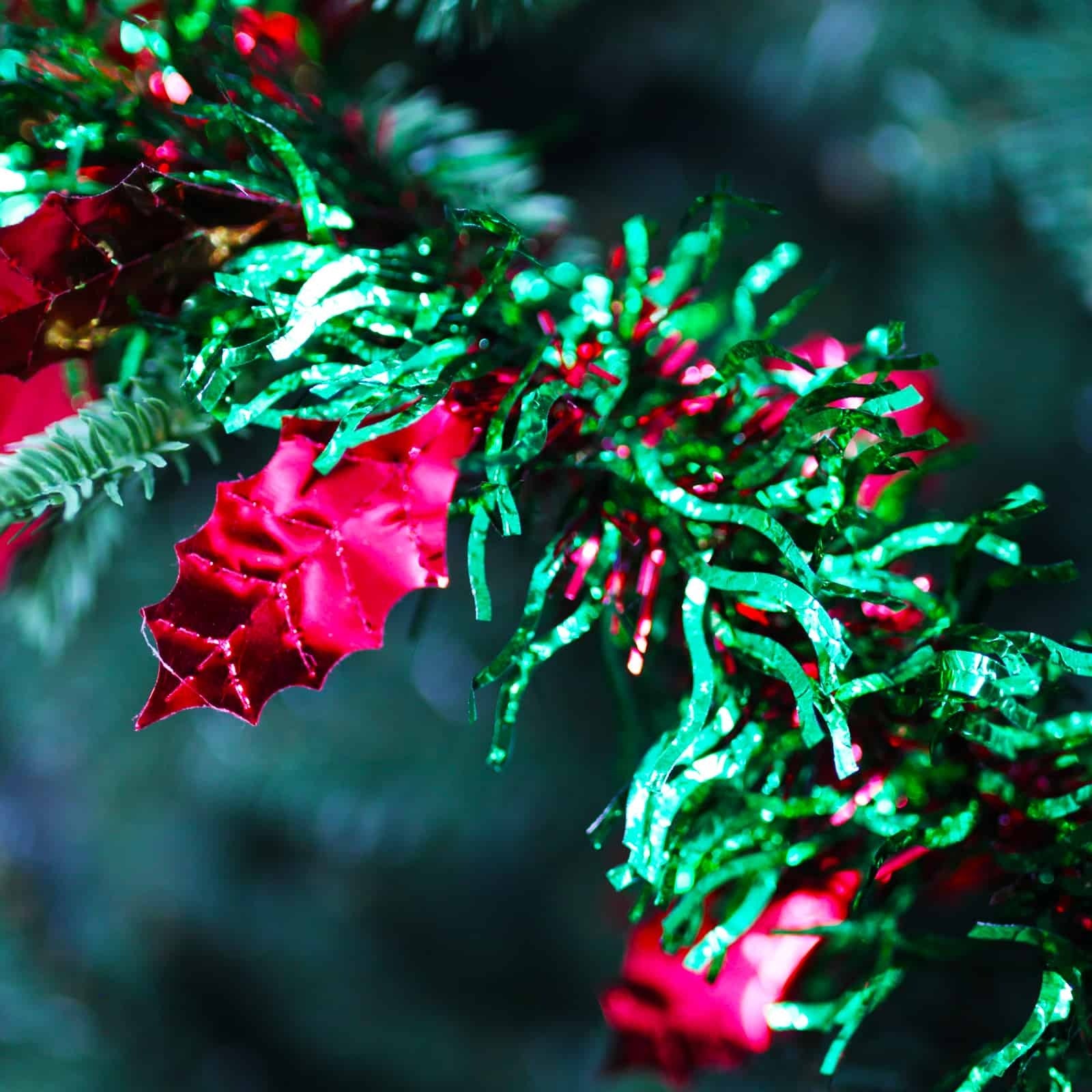 25m HOLLY Red Leaf with Green Red Tinsel 100mm wide