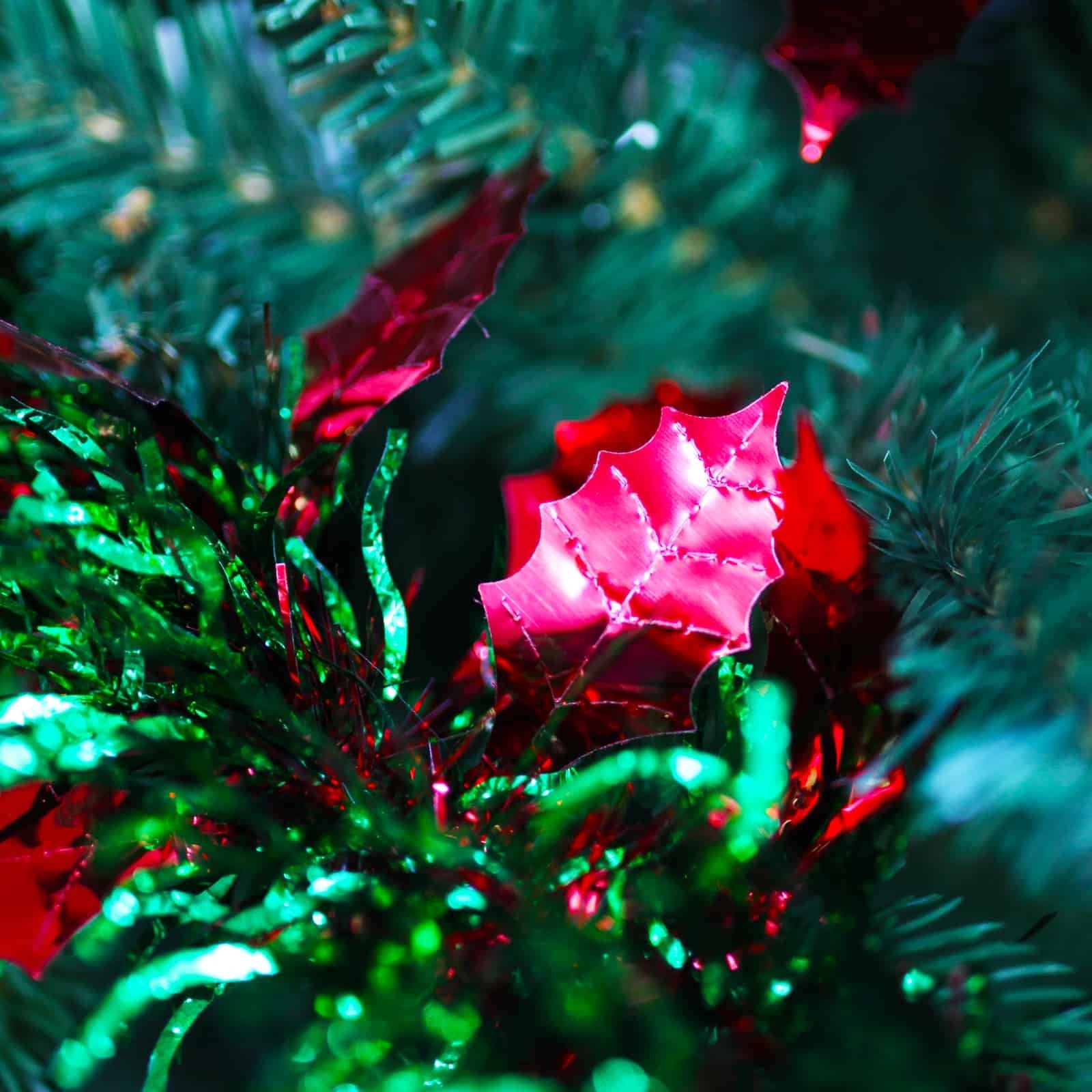 25m HOLLY Red Leaf with Green Red Tinsel 100mm wide