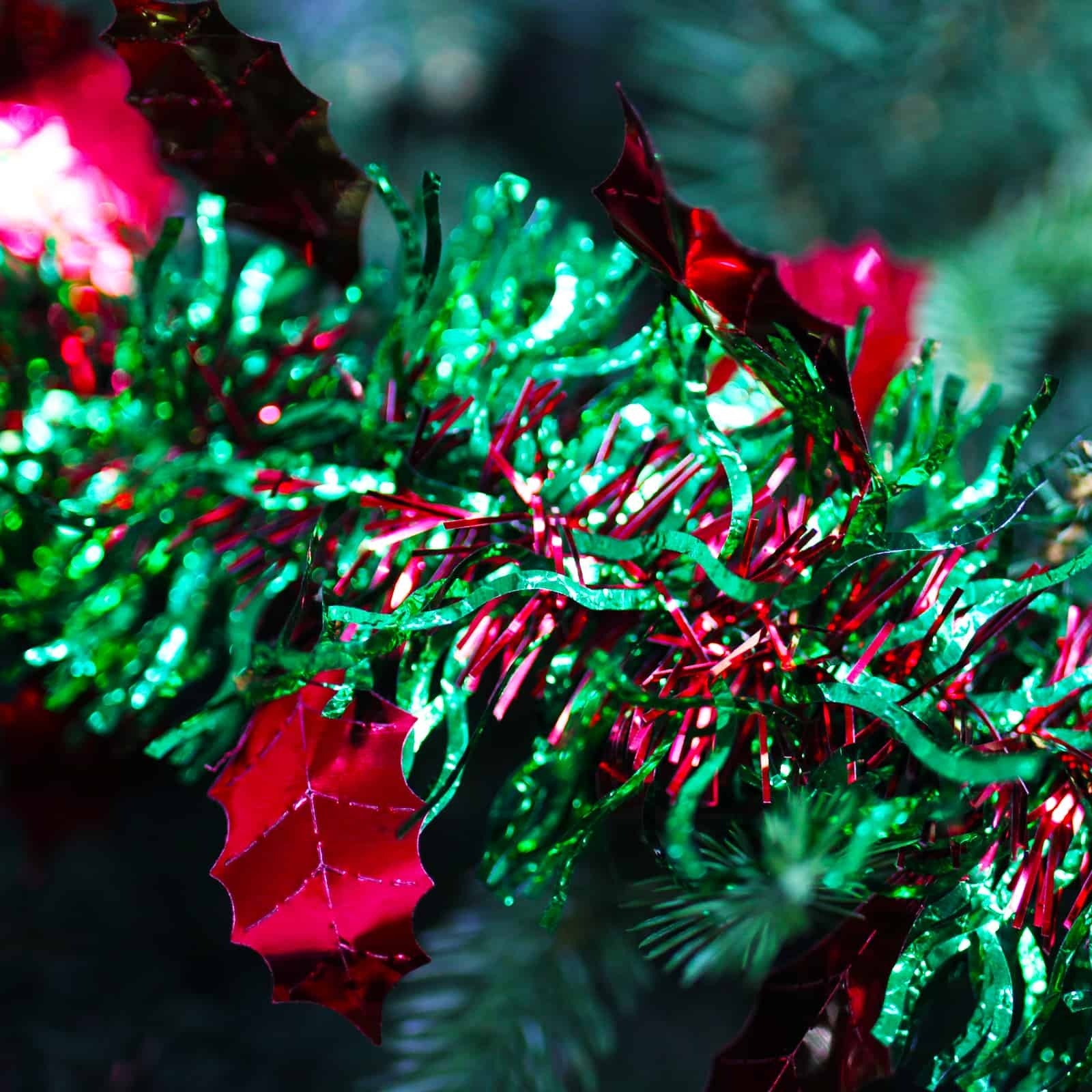 25m HOLLY Red Leaf with Green Red Tinsel 100mm wide