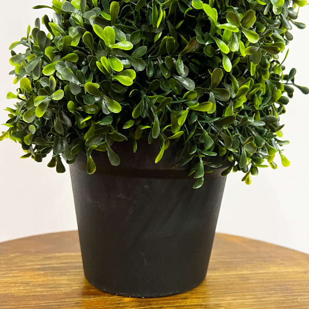 Porch Tree 3ft/90cm