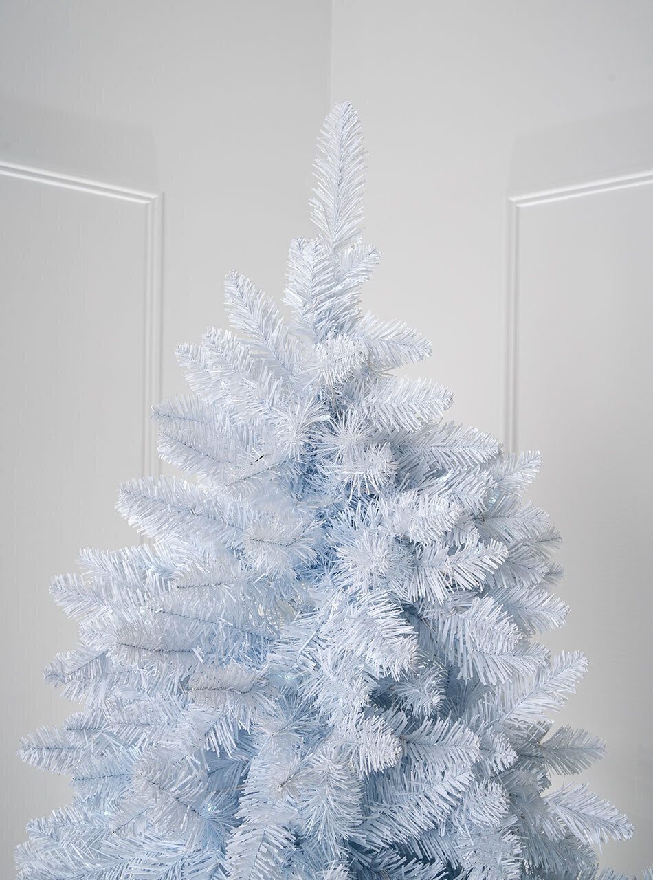 BAVARIAN White Fir 6ft/1.8m Christmas Tree