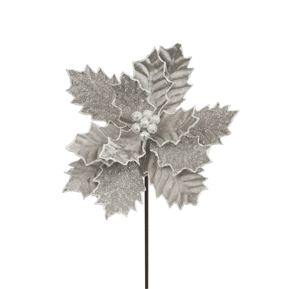 Platinum Velvet Poinsettia with frosting
