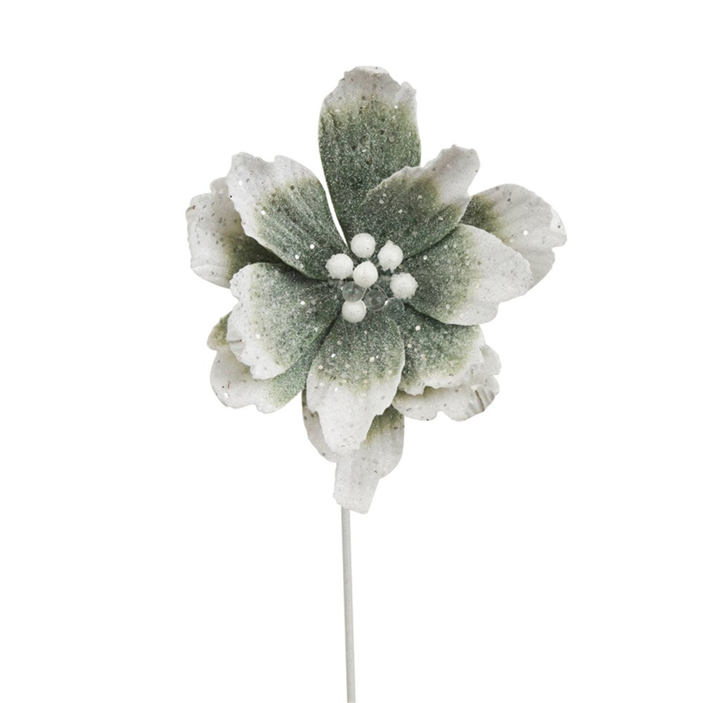 Ombre Sage Poinsettia Flower with a 50cm Stem