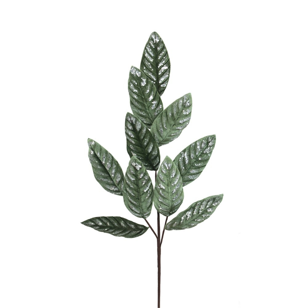 Sage Velvet Leaf Stem