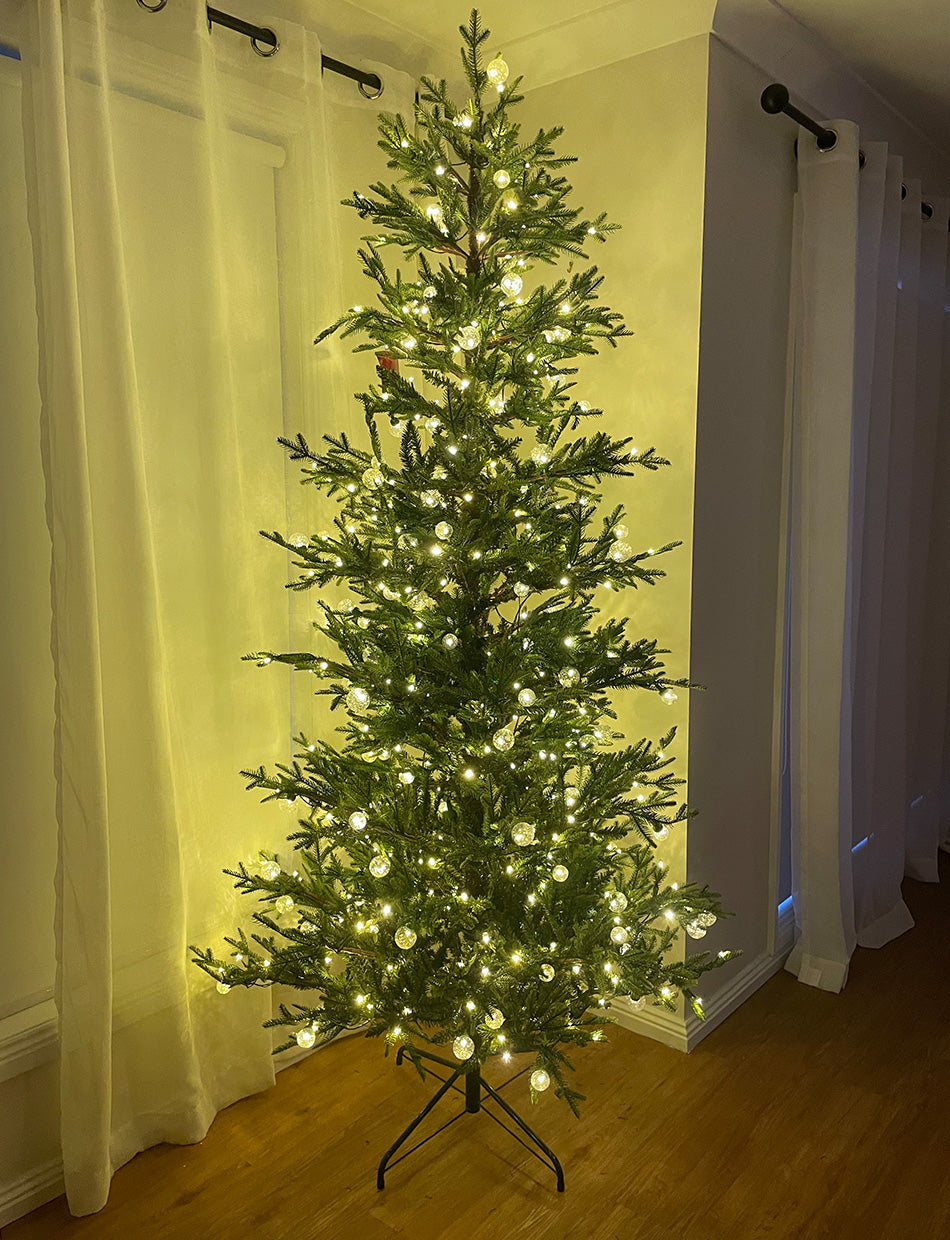 Royal Cathedral Fir 7ft/210cm Pre lit Christmas Tree