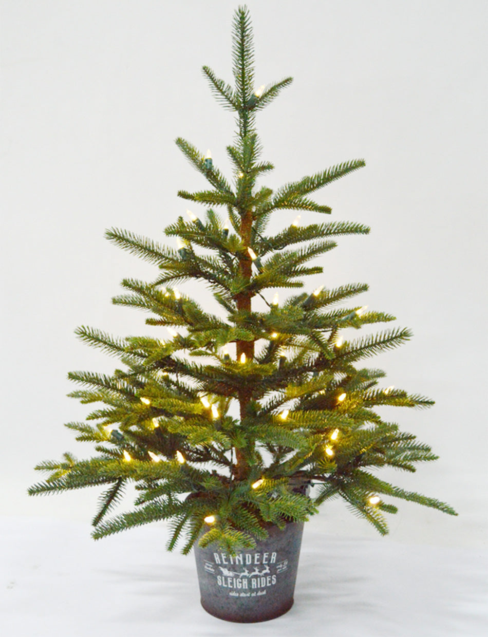Potted Scandinavian Fir Pre Lit Christmas Tree