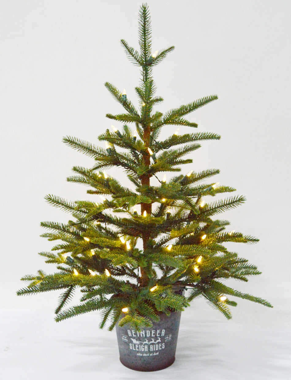 Potted Scandinavian Fir 4ft / 120cm Christmas Tree