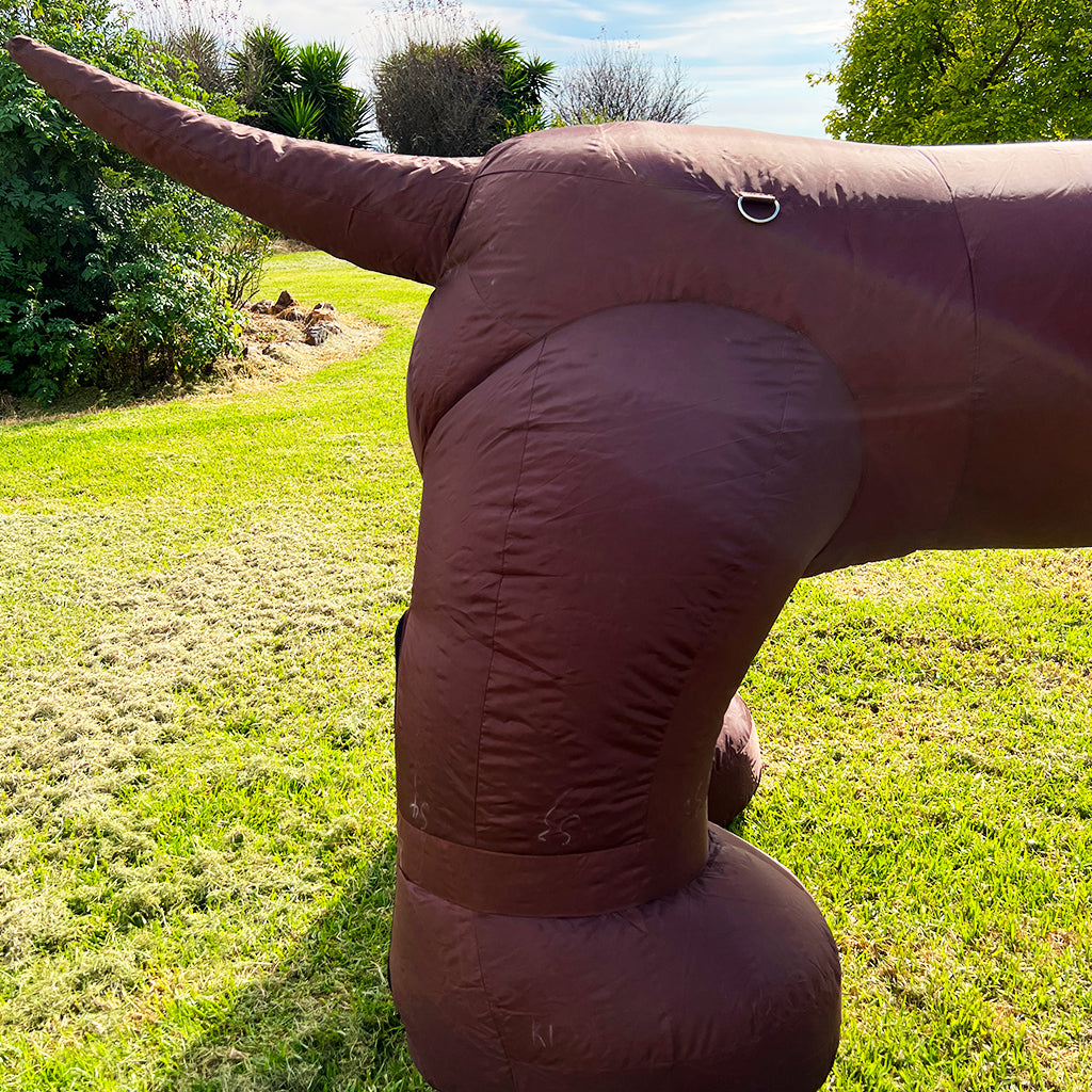 10m Long Sausage Dog Inflatable 33ft