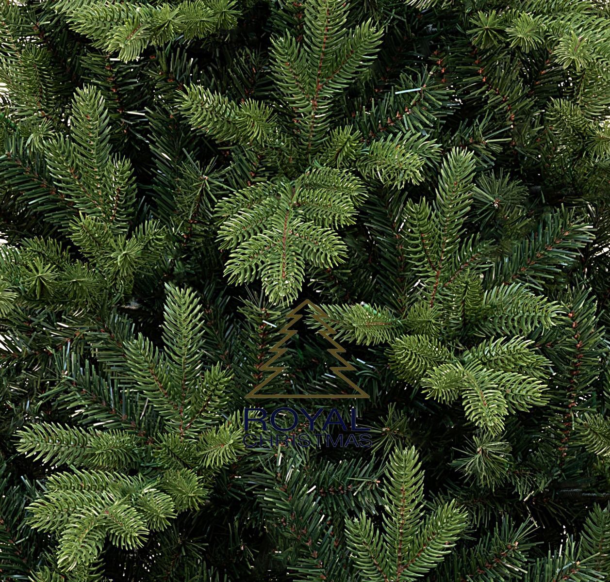 SPITSBERGEN Spruce 5ft/1.5m Christmas Tree