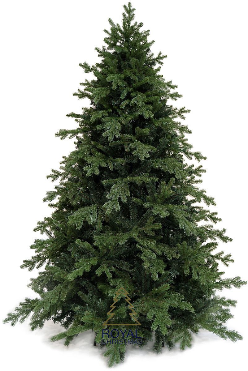 SPITSBERGEN Spruce 5ft/1.5m Christmas Tree
