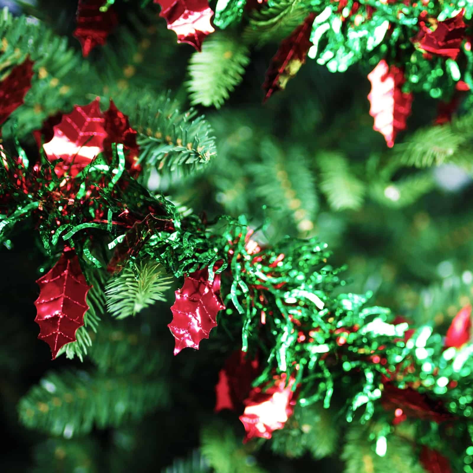 5m HOLLY Red Leaf with Green Tinsel 100mm wide