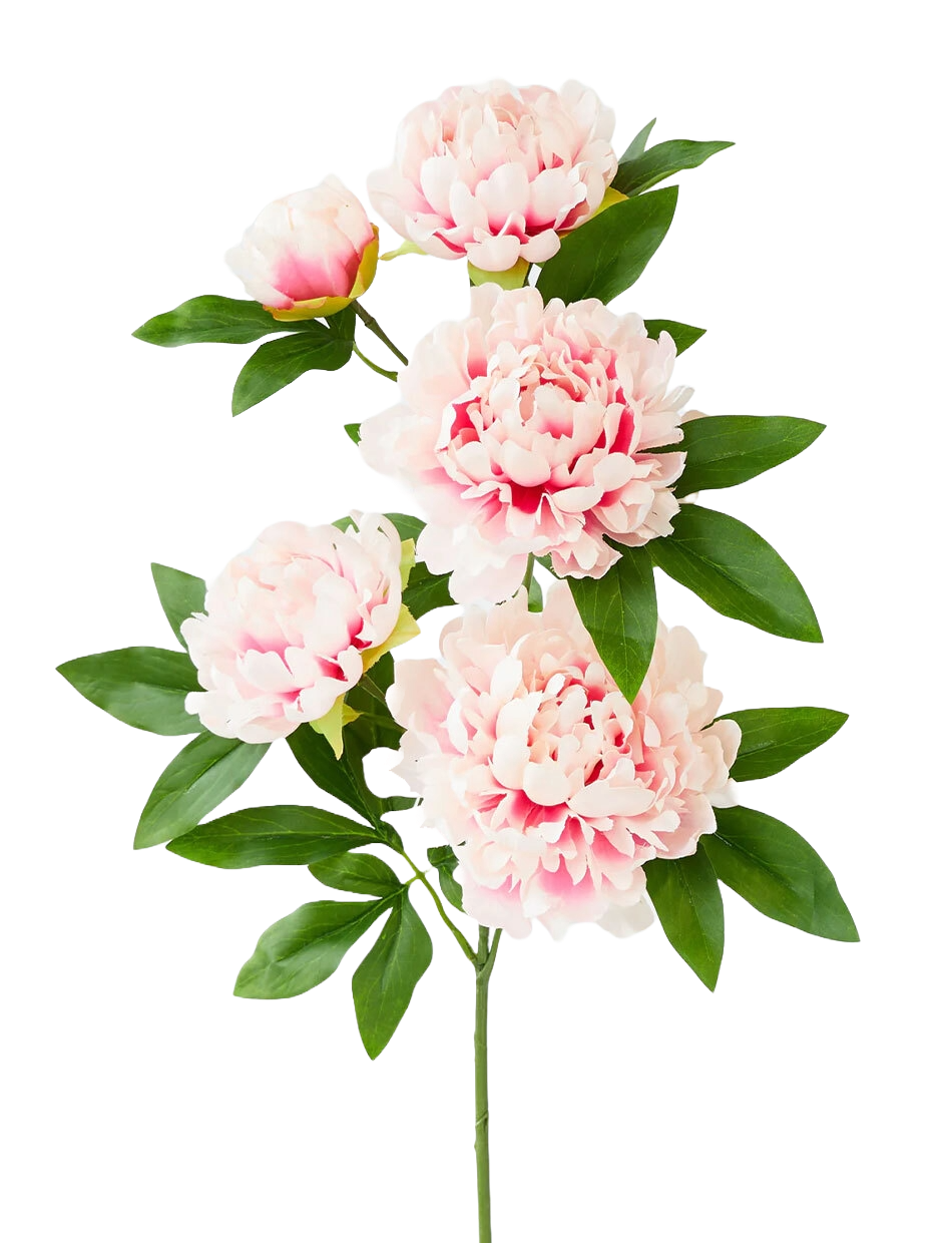 Pink Peony Branch 90cm