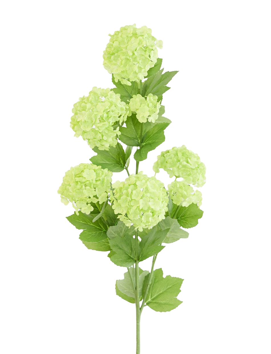 Green Snowball Spray 68cm