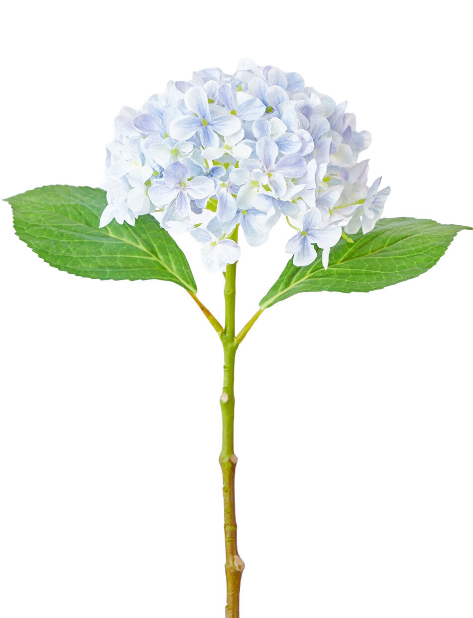 Light Blue Hydrangea Stem 45cm