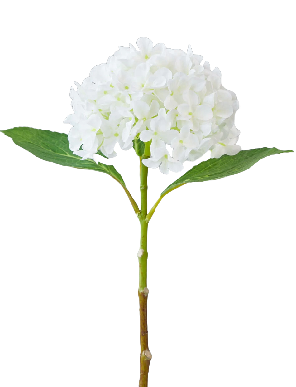 White Hydrangea Spray 45cm