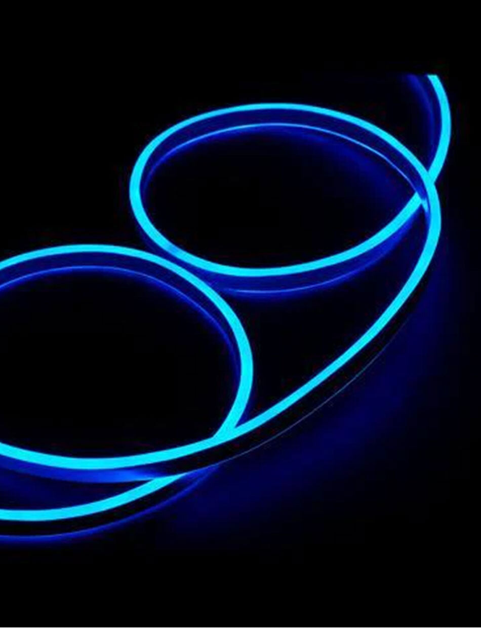 BLUE Neon Rope Light 10M