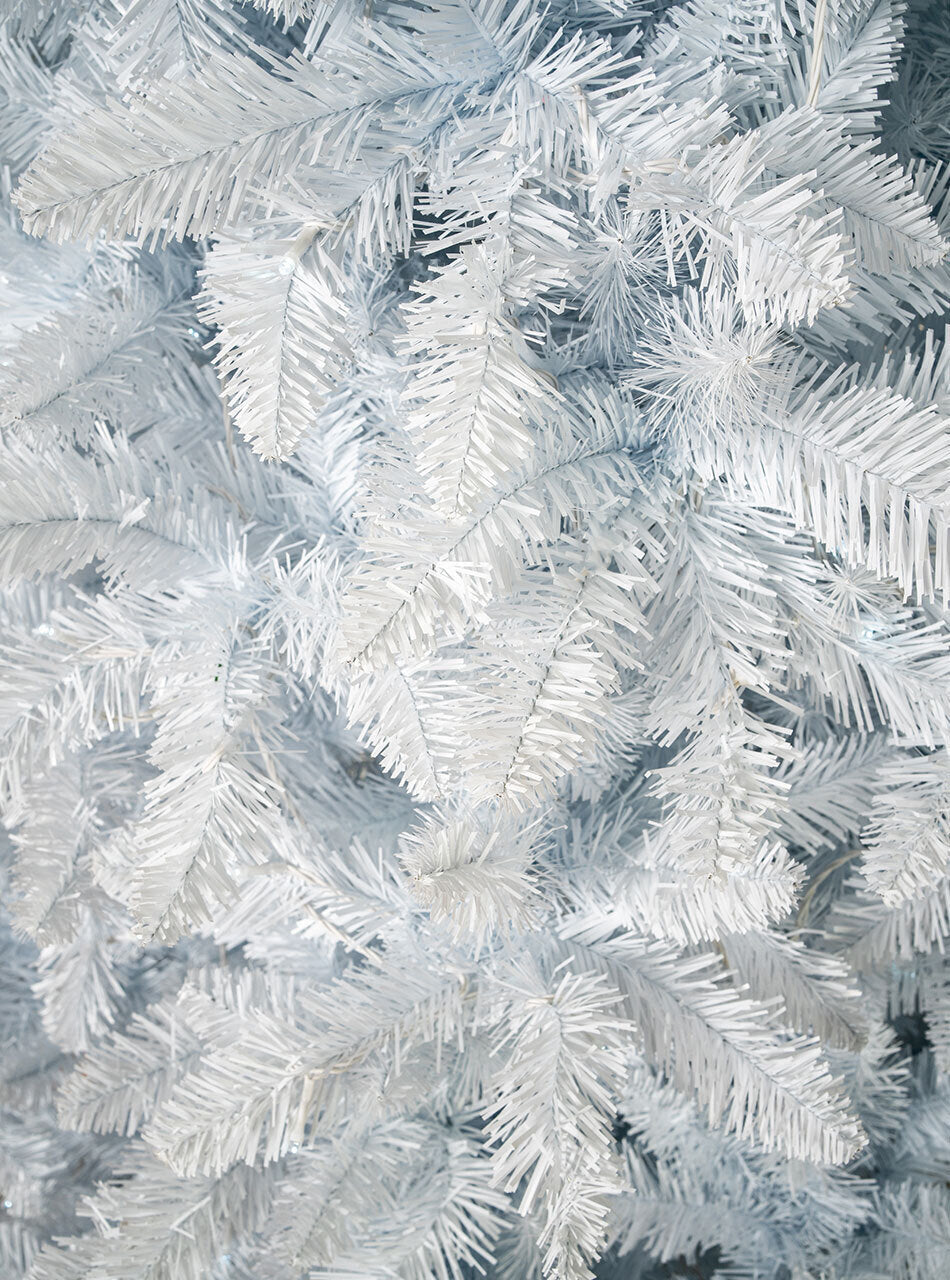 BAVARIAN White Fir 6ft/1.8m Christmas Tree