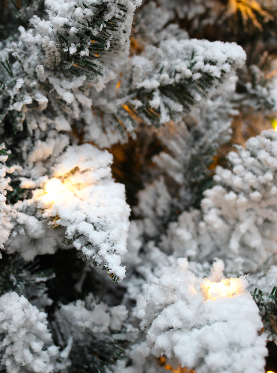 Bavarian Snow Flocked Fir -7ft Pre-Lit Christmas Tree