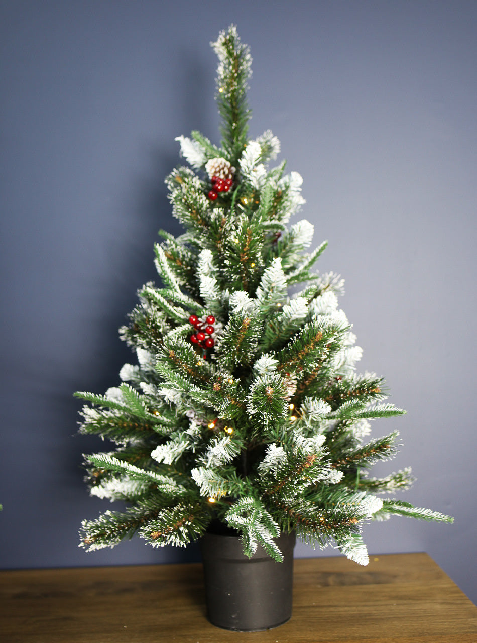 Snowy Mountains Potted Pine 2f /60cm Pre-Lit Christmas Tree