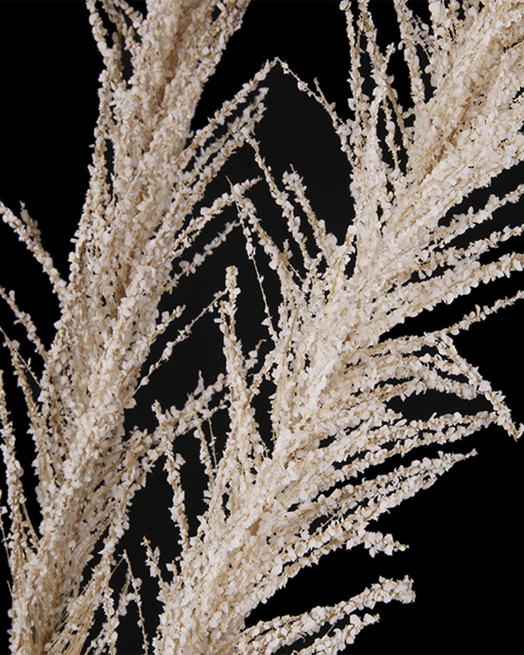 Champange Pampas Pick 113cm