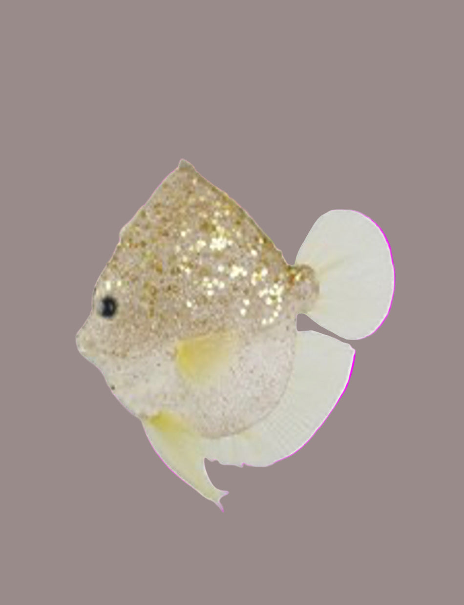 Gold Fish Christmas Tree Ornament