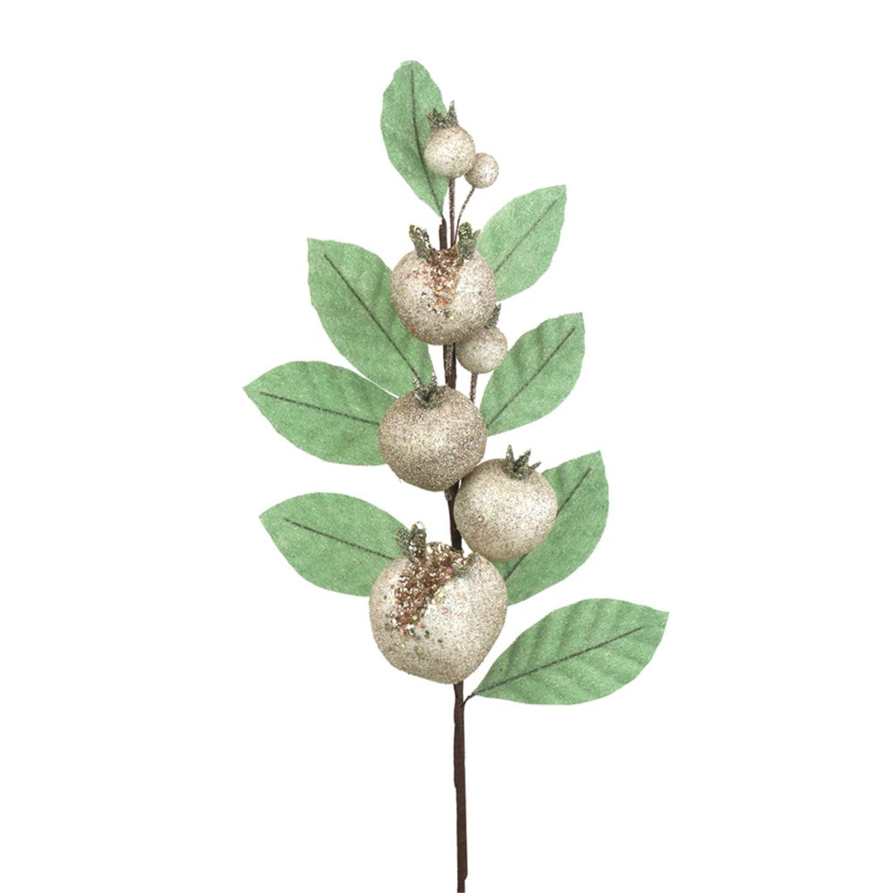 Pomegranate Stem with Green Leaves