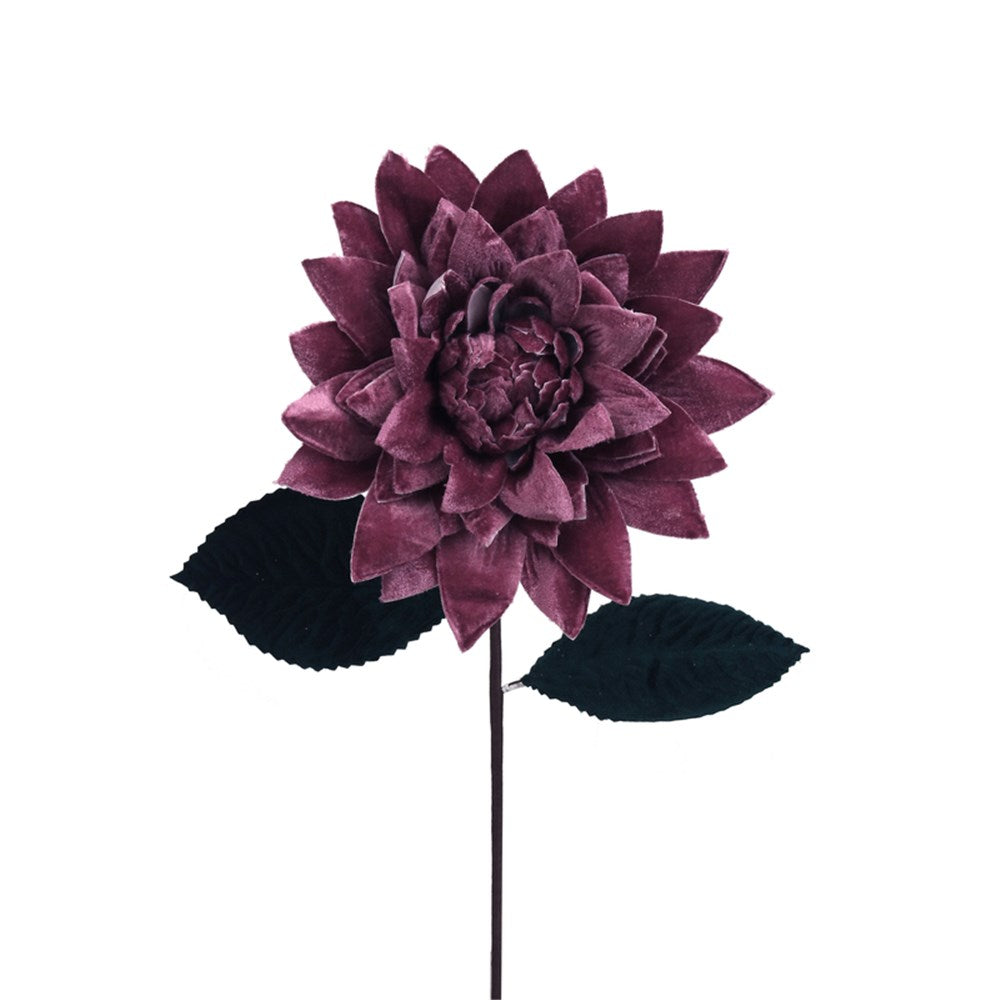 Pink Velvet Dahlia with Leaves