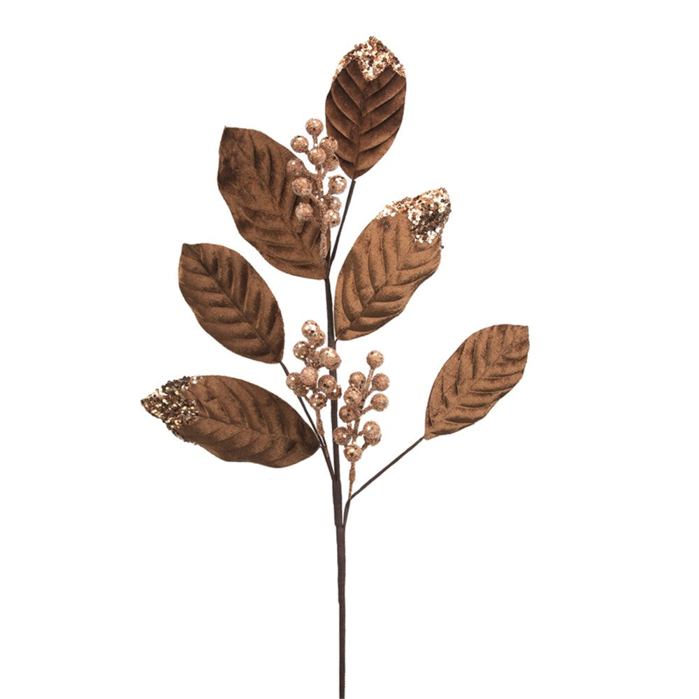 Brown Velvet Leaf and Berry Stem