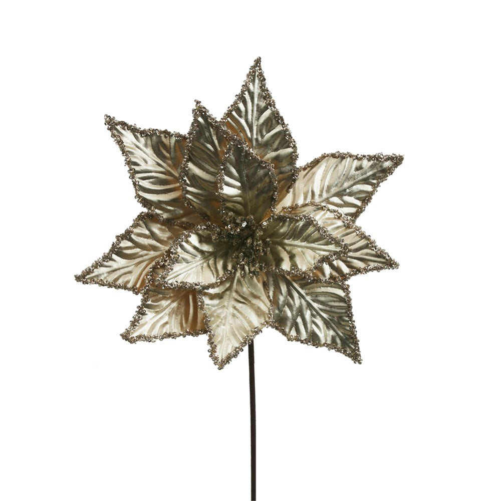 Champagne Poinsettia Flower on Stem