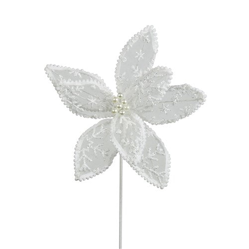 White Lace Poinsettia Flower