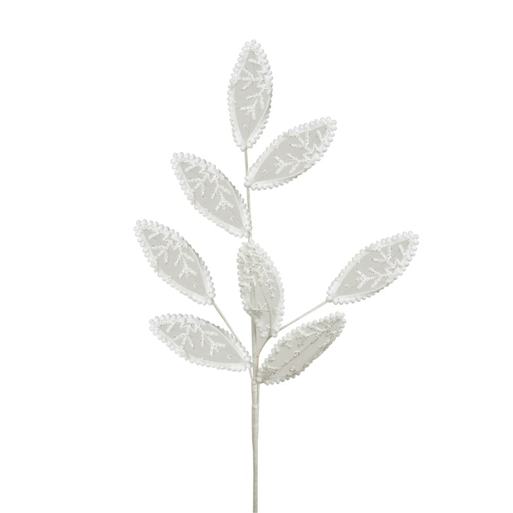 White Lace Leaf