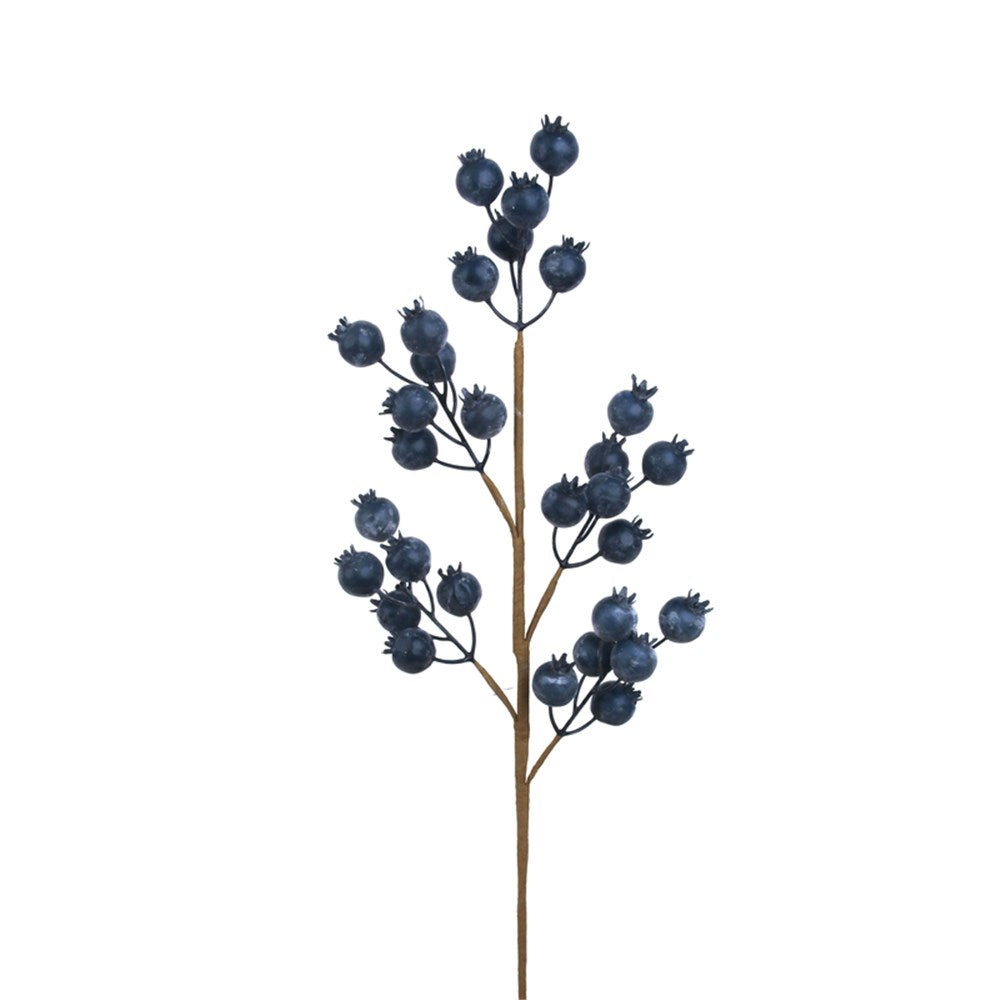 Blue Berry Stem
