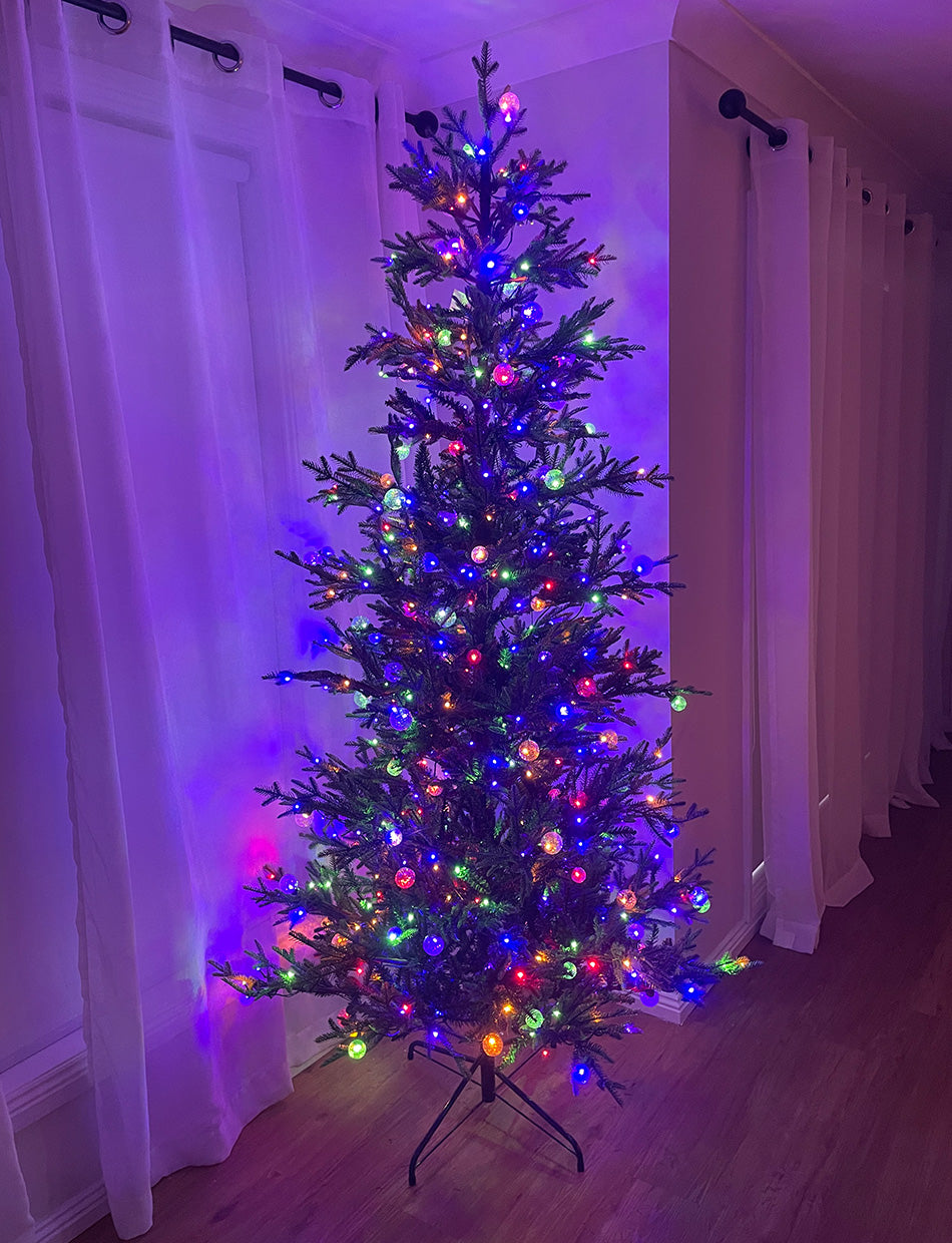 Royal Cathedral Fir 7ft/210cm Pre lit Christmas Tree